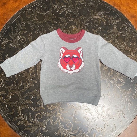 Cat & Jack Long Sleeve Sweat Shirt & The Kids Source Sweat Pants Boys 12 Months - Picture 4 of 12
